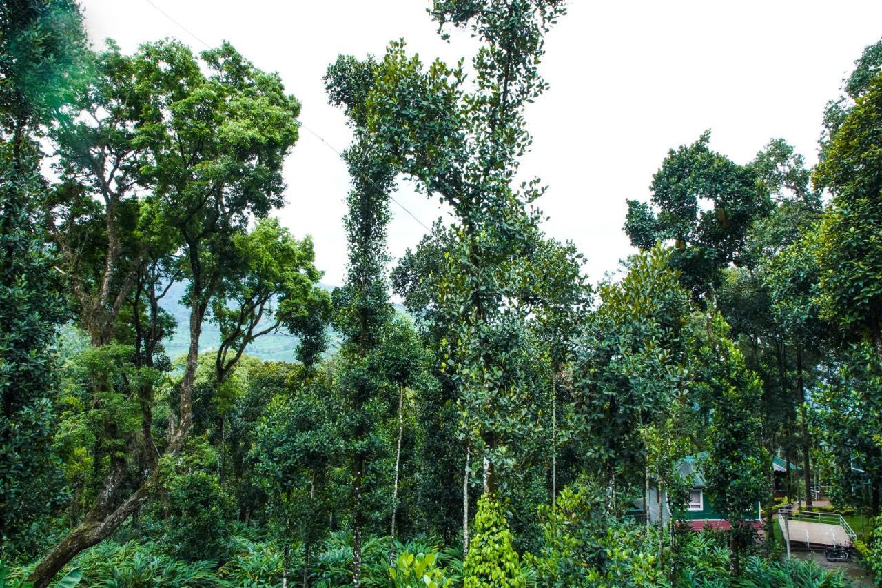 Tree Blanche Hotel Munnar Eksteriør billede